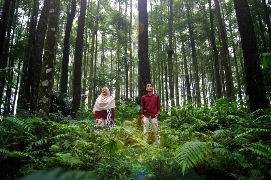 Menjelajahi Keindahan Alam Kotamangupura: Destinasi Wisata yang Tak Terduga