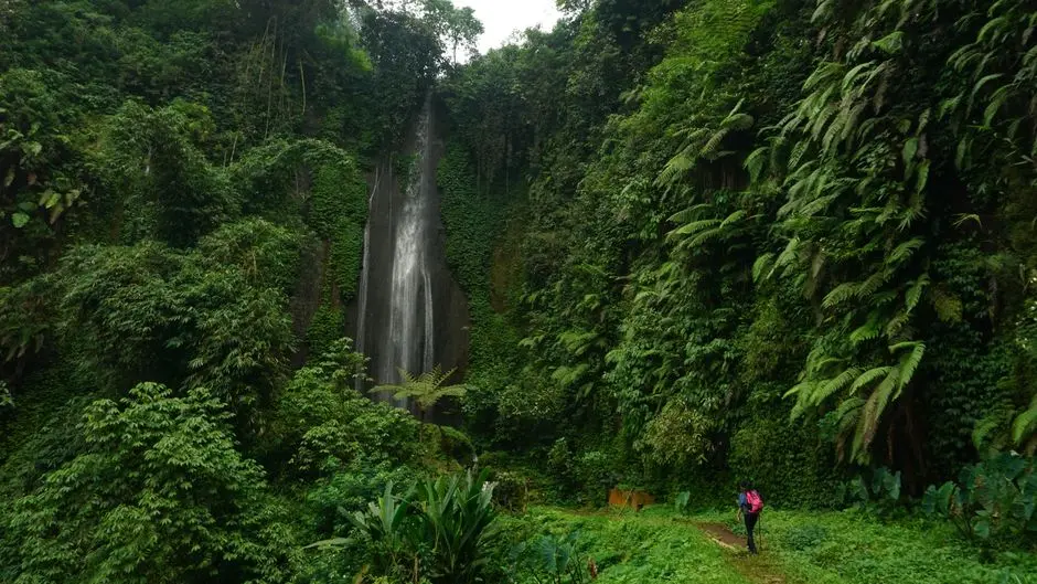 Tempat Wisata Tersembunyi di Papua yang Jarang Diketahui